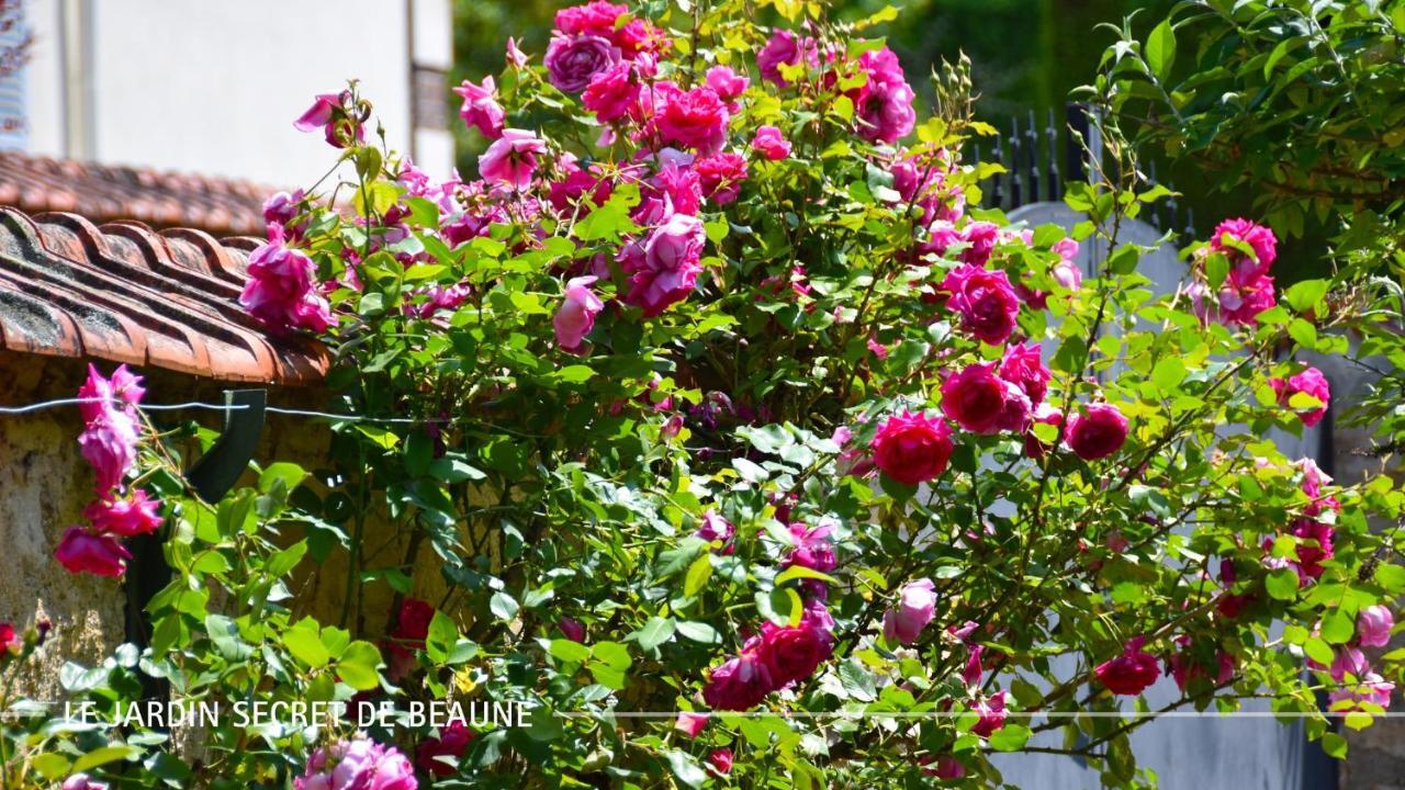 Le Jardin Secret De Beaune Beaune  Luaran gambar